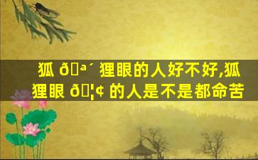 狐 🪴 狸眼的人好不好,狐狸眼 🦢 的人是不是都命苦